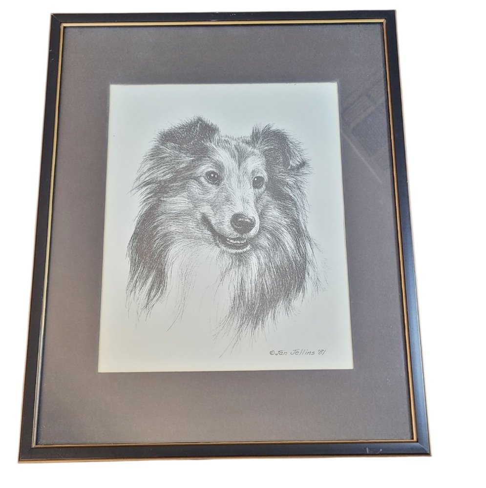 Collie Dog Print by Jan Jellins Vintage